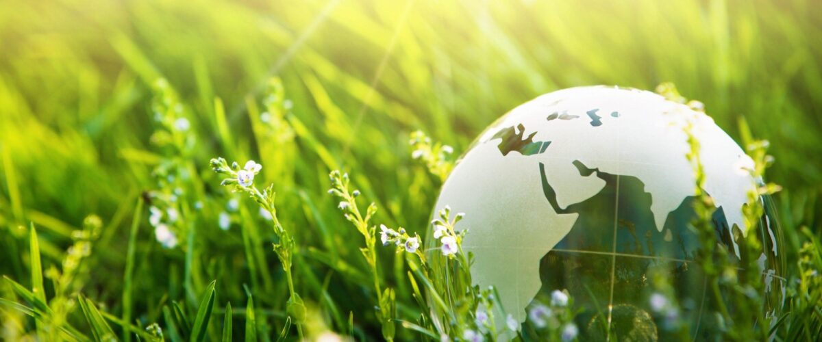 Adobe Stock 263703460 1