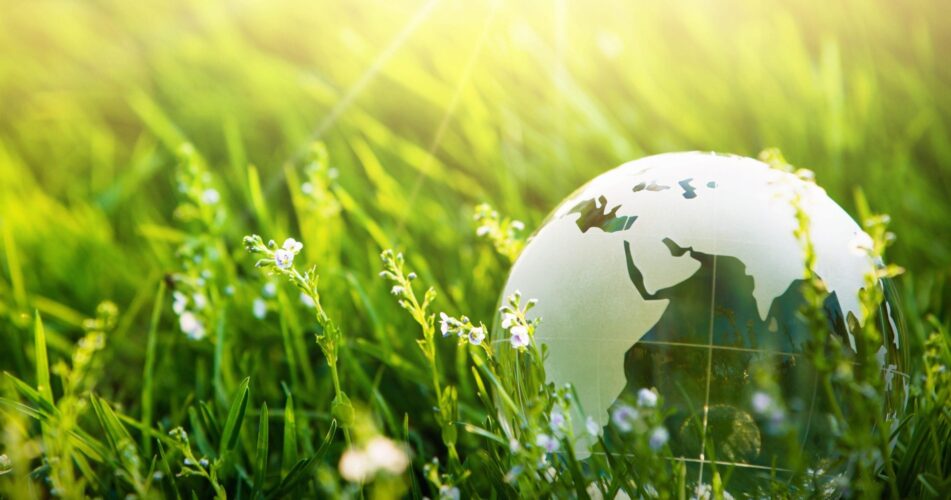 Adobe Stock 263703460 1